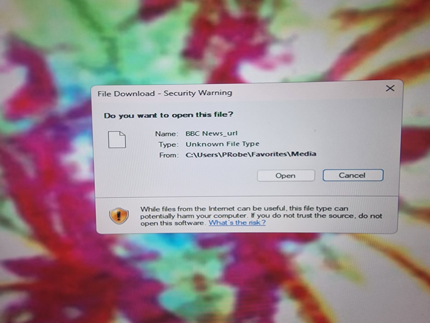 The prompt that always appears  