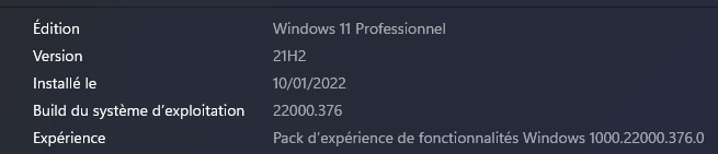 windows build