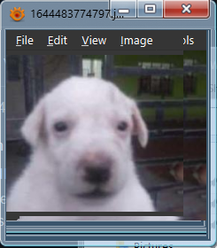 xnview mp